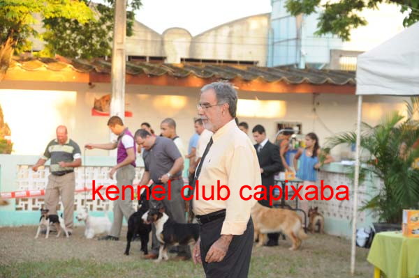 Clique sobre a foto para fechar